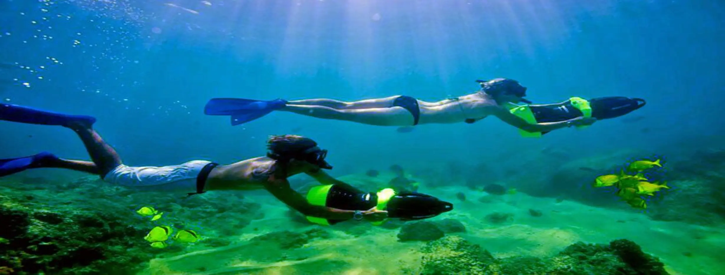 Image for Snorkel Adventure